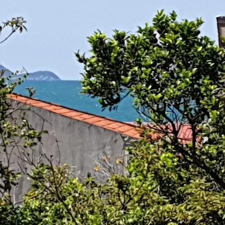 Pousada Mar & Sol A 180 M Da Praia Florianopolis Exterior photo