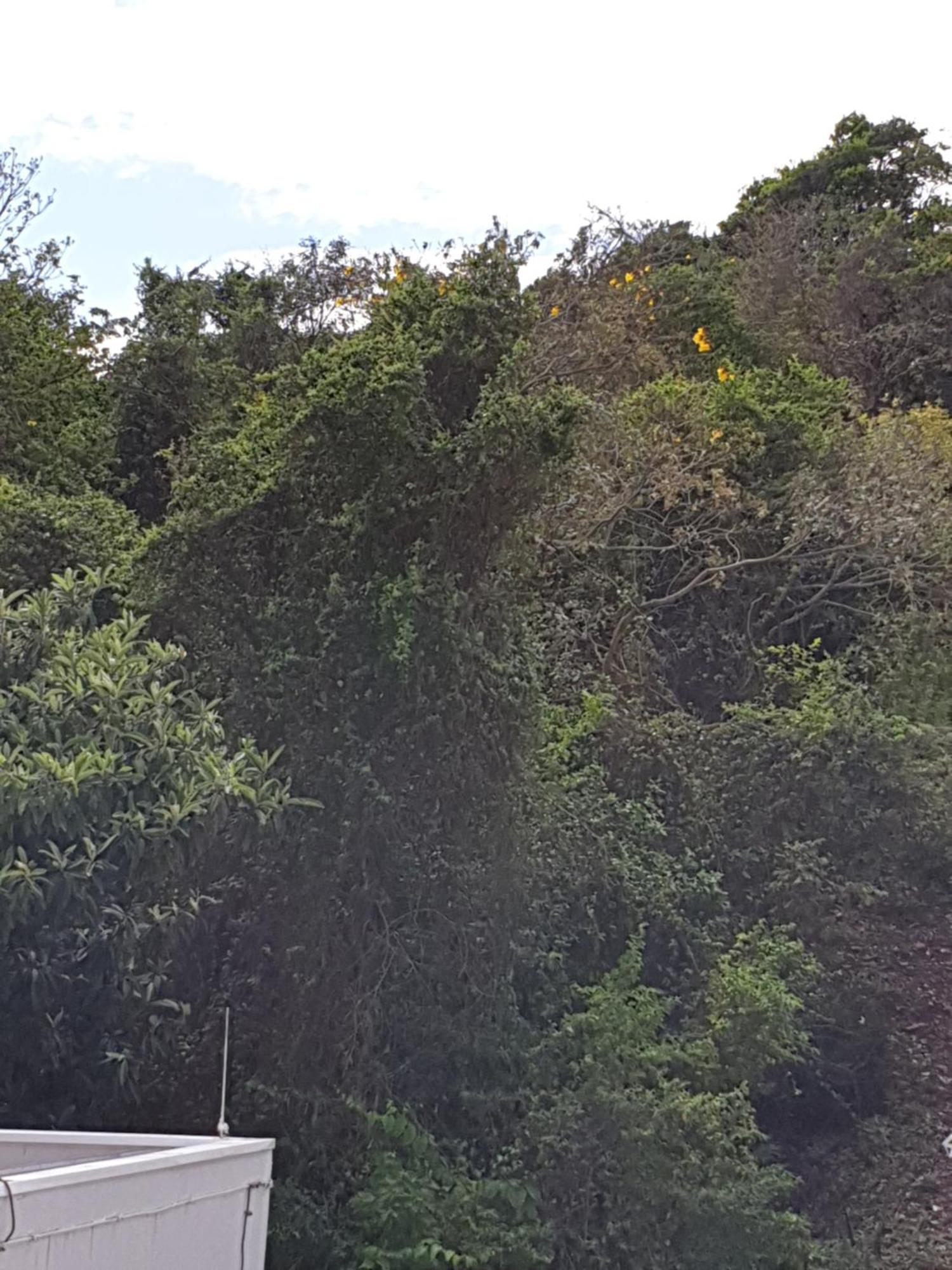 Mar & Sol A 180 M Da
